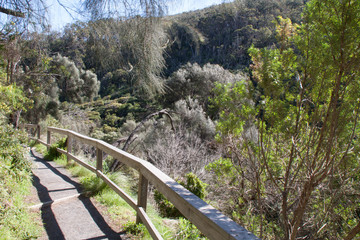 Fototapeta premium walkway