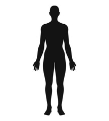 Anatomical Position Anterior View Female Body Silhouette Vector Illustration.