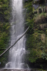 Fototapeta na wymiar Erskine falls