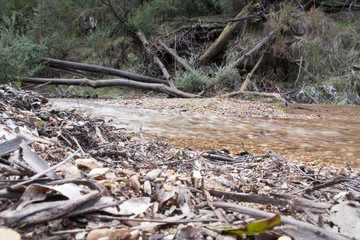 Obraz premium Lerderderg State park - Tunnel walk