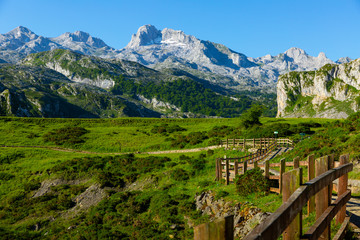 Fototapeta na wymiar Picos de Europa range, Spain