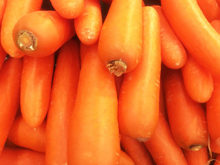 Bunch of fresh orange Carrots