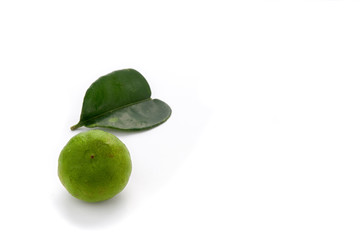 Fresh green lime with leaf isolated on white background - image