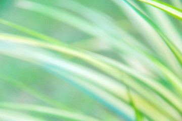 abstract green background