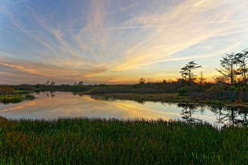 Louisiana Swamp sunset silhouette and reflections