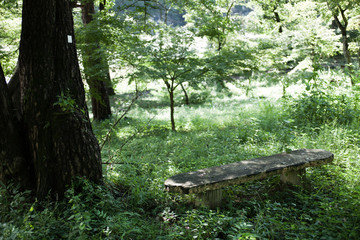 長瀞、公園、ベンチ