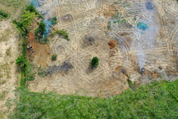 Deforestation. Forest is knocked down and burned to make way for palm oil plantations in Southeast Asia