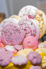 Candy bar. A big yellow pink cake with round gingerbread, marshmallows on the table.Beautiful tasty cake decorated with zephyr for big party.Fondant covered pastels coloured birthday cake.