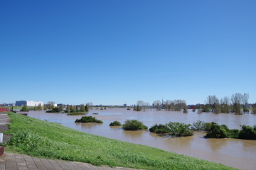 Obraz premium 荒川の増水