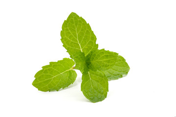 Naklejka na ściany i meble Fresh raw mint leaves isolated on white background