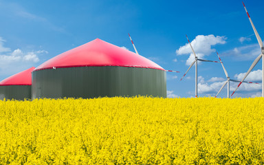 Biogas Anlage steht hinter einem Rapsfeld bei blauem Himmel