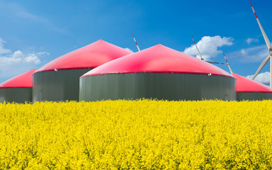 Biogas Anlage steht hinter einem Rapsfeld bei blauem Himmel