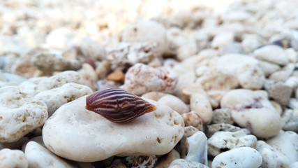 gravel on the beach with defocus background