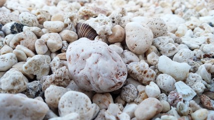gravel on the beach with defocus background