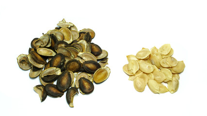 Group of Baked melon seeds