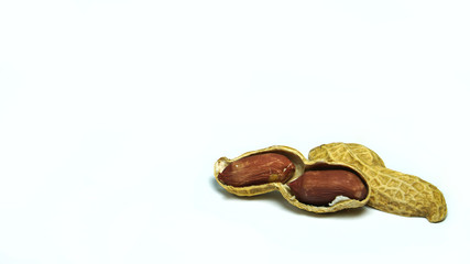peanut seeds on white background