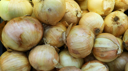 the onion in the box