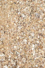Sand texture on the beach