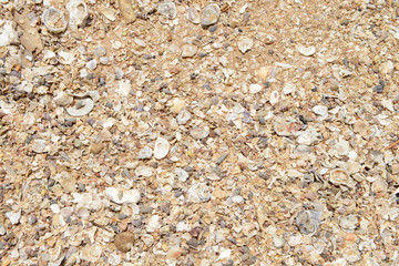 Sand texture on the beach
