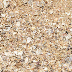Sand texture on the beach