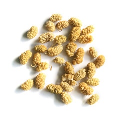 Dry white mulberry or morus top view