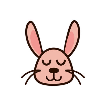 cute face rabbit animal cartoon icon