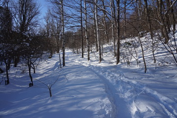 北海道　冬の公園