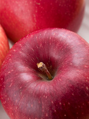 リンゴ　シナノホッペ