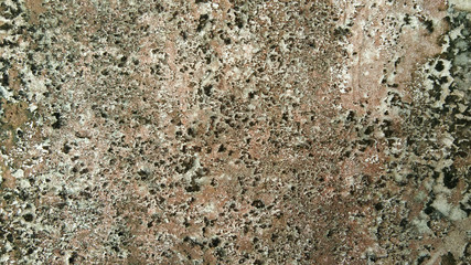 Concrete wall with green dry moss on the island