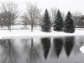 winter landscape with pond and trees in winter