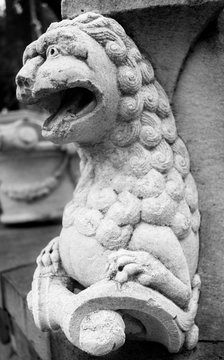 Sculpture of lion. Black and white photo of a statue in Bergama (Pergamon).
