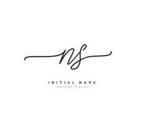 N S NS Beauty vector initial logo, handwriting logo of initial signature, wedding, fashion, jewerly, boutique, floral and botanical with creative template for any company or business.