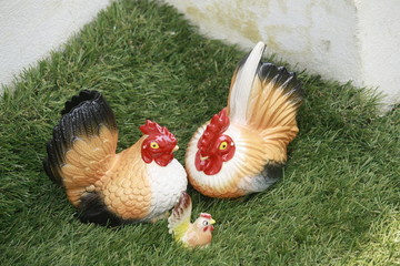 hen and chicks on the  lawn