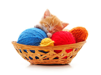 Fototapeta na wymiar Kitten with balls of yarn in the basket.