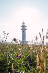 Scenic view of lighthouse on hill in summer