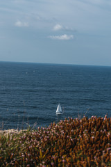 Scenic view of yacht in ocean