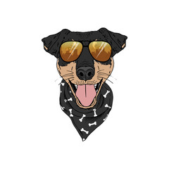 Jagdterrier breed dog wear sunglasses, bandana isolated on white background Symmetrical pet head. Realistic hand drawn vector illustration.