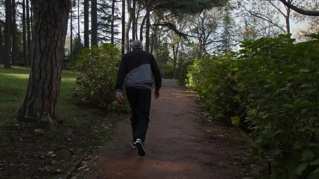 Old man walking in the forest on a running track. Noon time Emirgan korusu