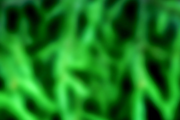 Abstract green blurred background
