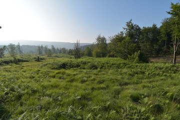 Nationalpark Hunsrück-Hochwald