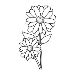 Isolated flower ornament vector design