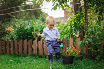 Little gardener, child plant flower in garden