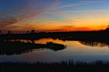Fototapeta na wymiar Louisiana Swamp sunset silhouette and reflections