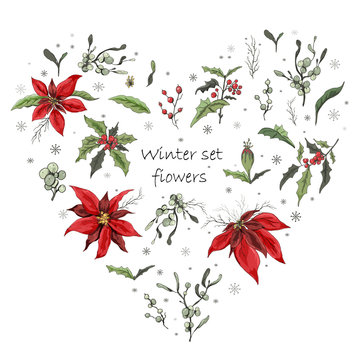 Set of winter flowers (poinsettia, white mistletoe, Holly) in the form of a heart. realistic hand-drawn doodles, colorful ornaments, decorations for seasonal cards, posters, advertising. Vintage style