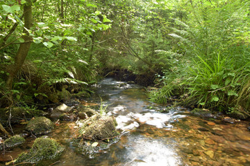 Nationalpark Hunsrück-Hochwald