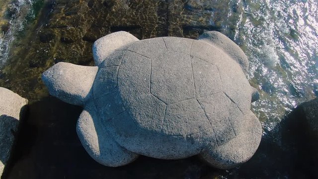 A beautiful wide shot of a turtle stone statue in the middle of Kamo River at Kyoto, Japan on sunny day. Calm and pretty scenery.