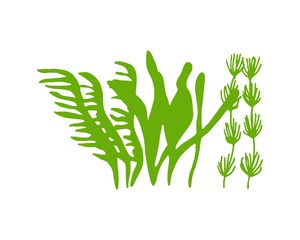 algae green food vitamins and minerals. sketch silhouette