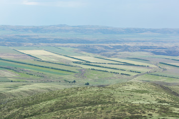 Photo taken from a height. Green field with trees. Nature "Kapala" .