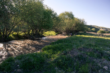 Fototapeta premium A river flows into a mountain gorge. Summer time. Clear blue sky. Kazakhstan.