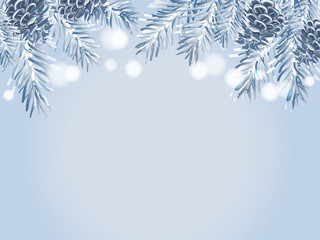 Fototapeta na wymiar Blue Christmas tree branches and pine cones on white background.
